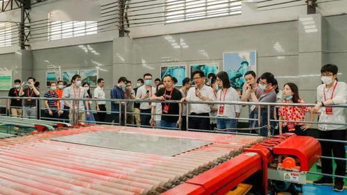 蒙娜丽莎董高齐上阵，投资者交流会聚焦技术创新与市场前景