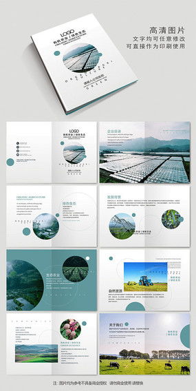 食品公司画册设计 素材精选与广告创意指南